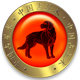 Horoscopo chino 2021 perro